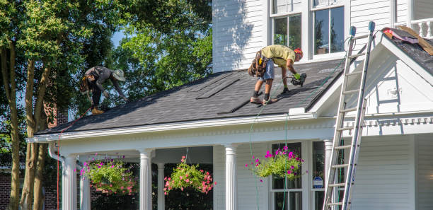 Roof Gutter Cleaning in Syosset, NY